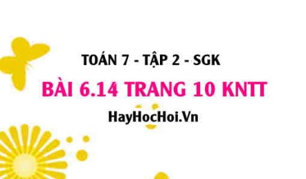 Bài 6.14 trang 10 Toán 7 Tập 2 Kết nối tri thức